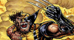 Wolverine Primavera Carrusel